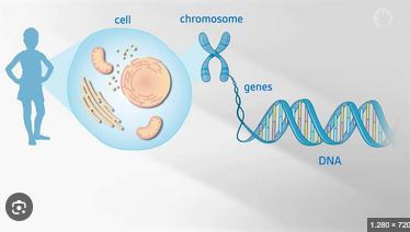 [Image: 4a8da306b1f7c6892d2c9be7660b3e2b.png]