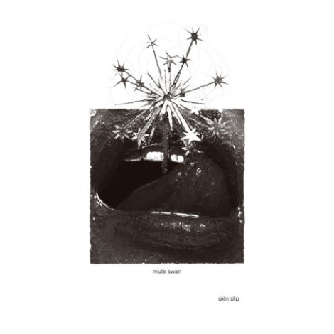 Mute Swan - Skin Slip (2026) flac