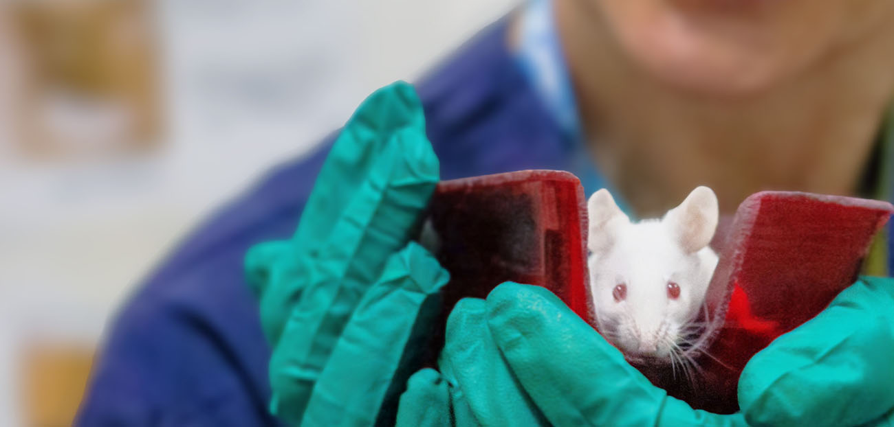 [Image: eaa2cf3fbb0630b7643cdc5674cf8355.jpg]