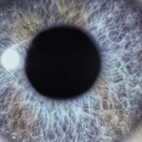 Dan Swanoe - Moontower (2026) mp3