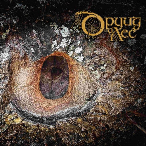 (Acoustic Rock, Dark Folk, Neofolk, Neoclassic,...