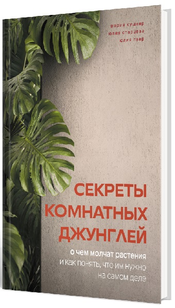 Секреты комнатных джунглей. О чем молчат растения и как понять, что им нужно на самом деле
