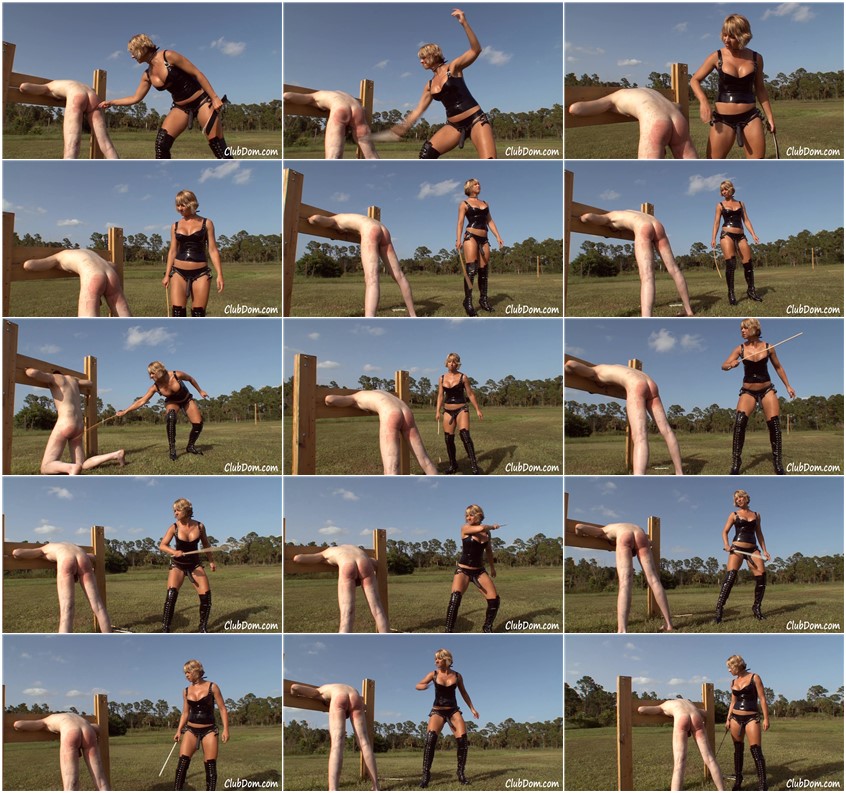 [Image: da6da7dc2493cad7859859a2c1670a08.jpg]