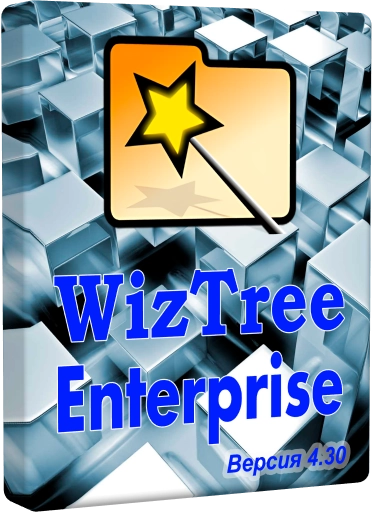 WizTree Enterprise 4.30 + Portable [Multi/Ru]