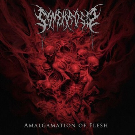 Synekrosis - Amalgamation Of Flesh (2026) flac