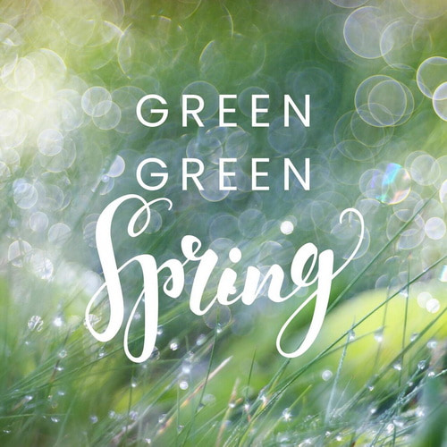 Green Green Spring (2026) FLAC