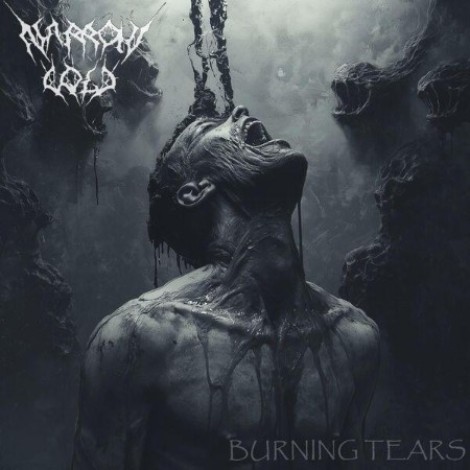 Narrow Cold, Domagoj Zrinski - Burning Tears (2025) flac