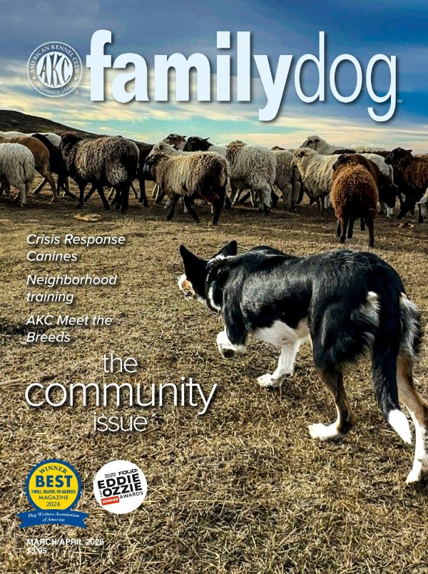 AKC Family Dog - March/April 2026
