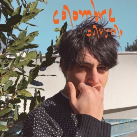 Colombre - Pulviscolo (2017) mp3