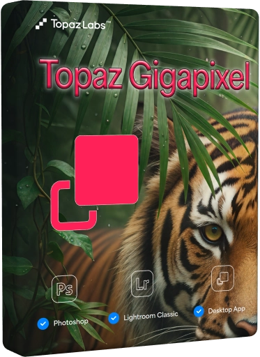 Topaz Gigapixel 1.1.3 Portable by 7997 (no models) [Multi]
