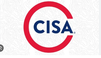 Certified Information Systems Auditor ( Cisa) - Domain 4