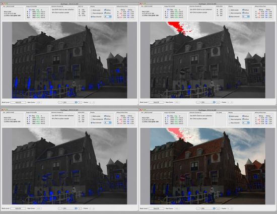 LibRaw RawDigger 1.4.10.846