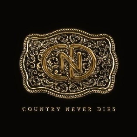 VA - Country Never Dies (2026) mp3