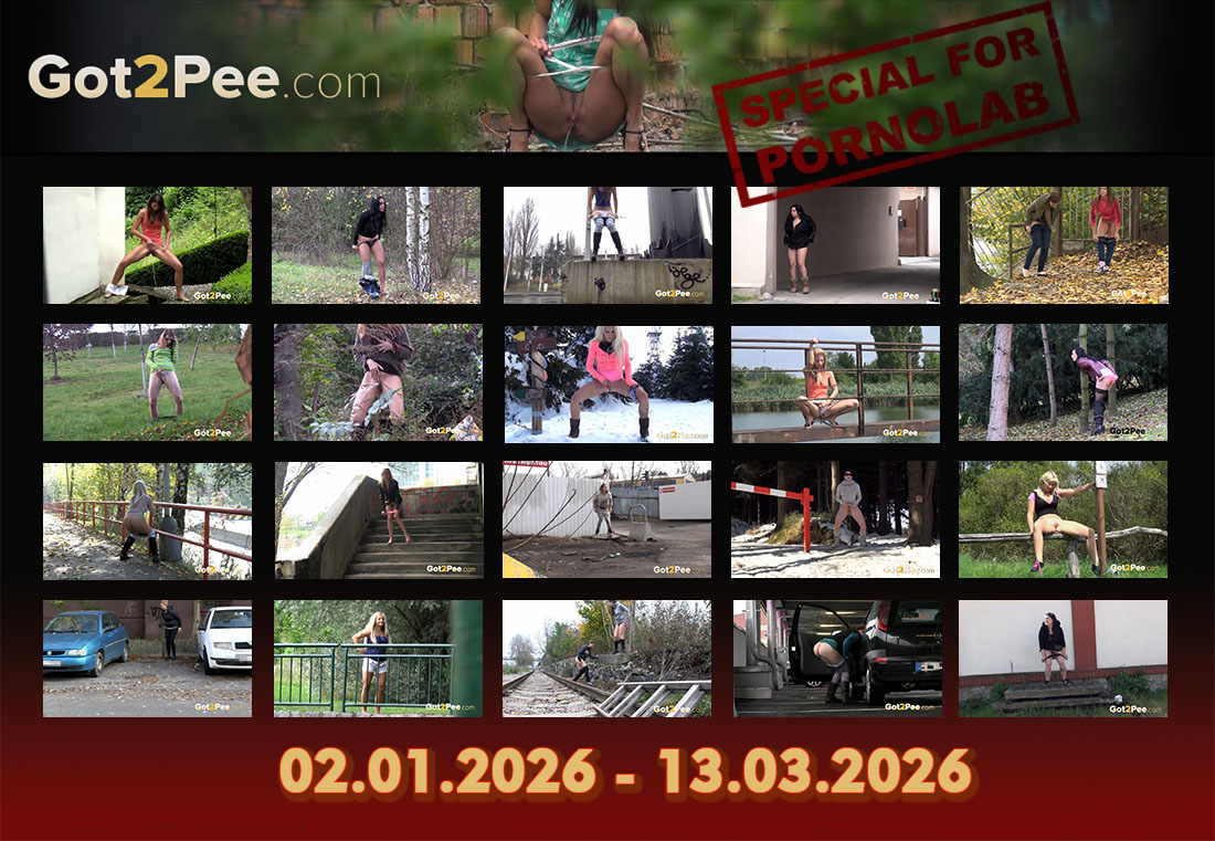 Got2Pee - 50 роликов 4K