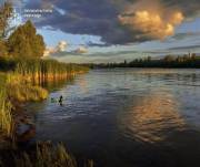 Прокуратура через суд требует от Киевсовета предоставить природоохранный статус ряду территорий столицы