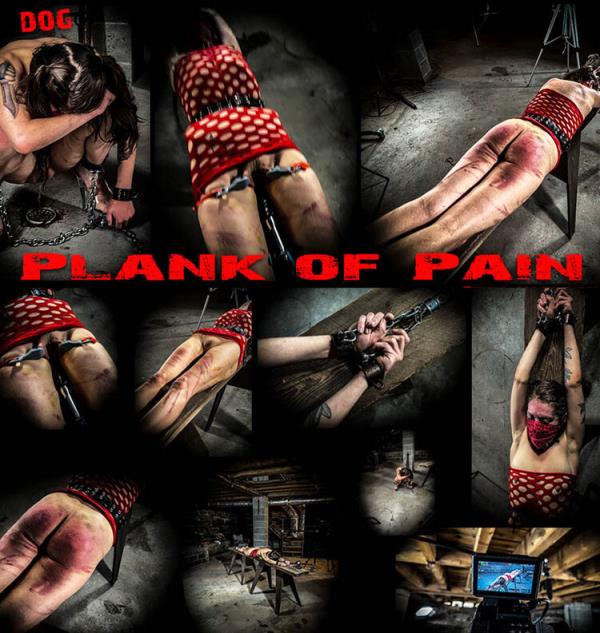 Dog - Plank Of Pain [FullHD 1080p]