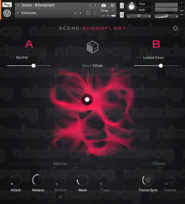 [Kép: 9a99c0665ab663349cde015a45635707.jpg?r=1]