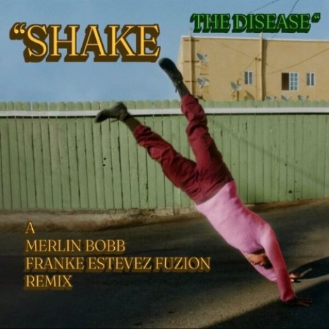 Merlin Bobb x Franke Estevez Fuzion - She The Disease (2026) mp3