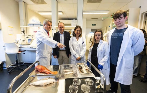 В Испании создали искусственную роговицу из рыбьей чешуи