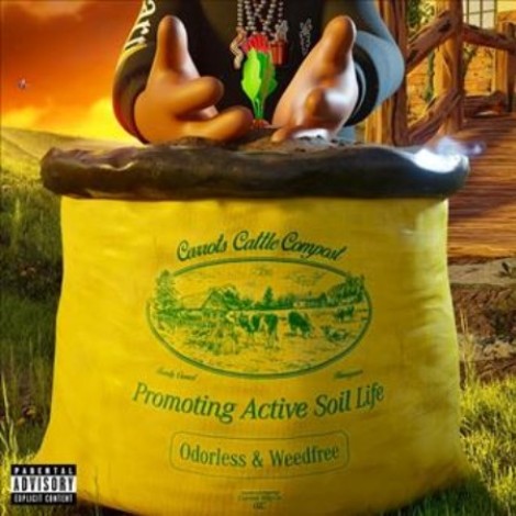Anwar Carrots - Soil (2025) flac