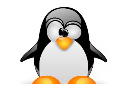 Linux Server Administration Simplified: Practical Training