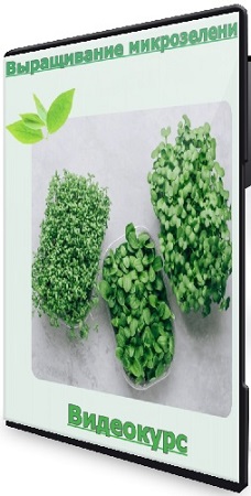 постер к Александр Шишов - Выращивание микрозелени (2026) Видеокурс