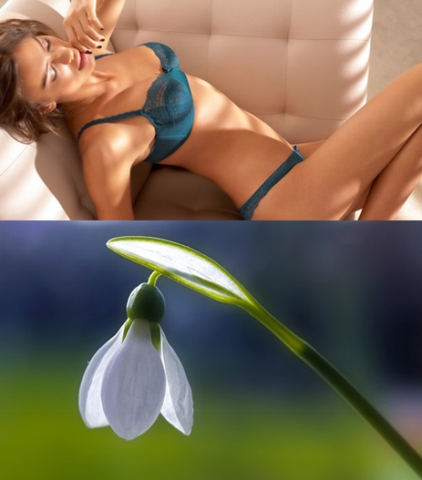 Mixturka - Wallpapers Collection 275