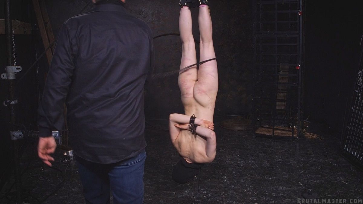 Tramp - Strung Up Meat