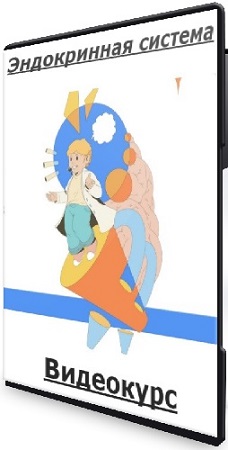 постер к [MeetGuru] Эндокринная система (2025) Видеокурс