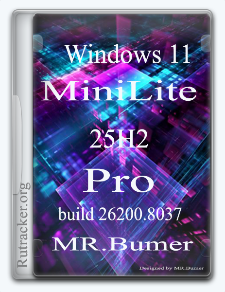 Windows 11 Pro 25H2 Mini