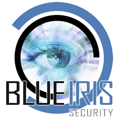 Blue Iris 6.0.3.4 [En]