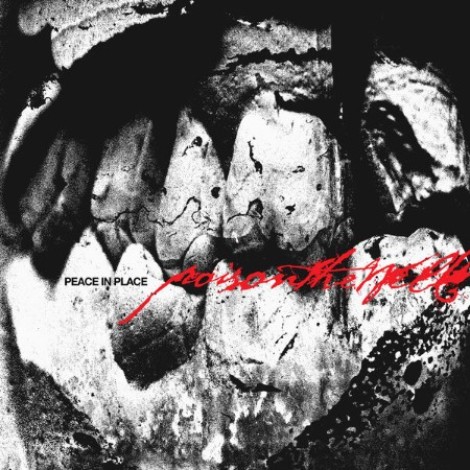 Poison The Well - Peace In Place (2026) flac