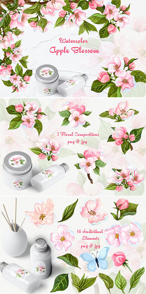 Apple Blossom Watercolor Clipart PNG