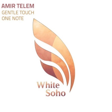 Amir Telem - Gentle Touch (2026) mp3