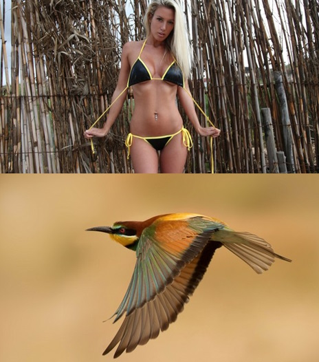 Best Mix Wallpapers 807