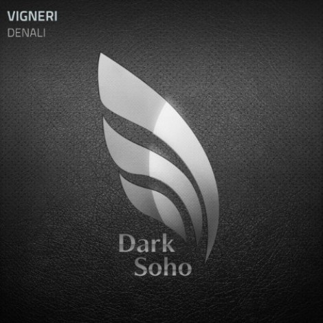 Vigneri - Denali (2026) mp3