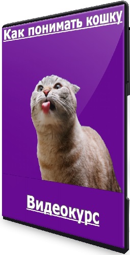 Алсу Мкаддесовна - Как понимать кошку (2026) Видеокурс