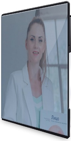 постер к Олеся Терпугова - Курс по костям черепа и работы с телом (2026) CAMRip