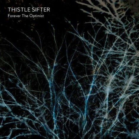 Thistle Sifter - Forever The Optimist (2026) mp3
