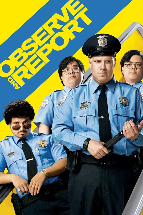 Złap, zakapuj, zabłyśnij / Observe and Report (2009) MULTi.1080p.BluRay.REMUX.VC-1.TrueHD.5.1-MR | Lektor & Napisy PL