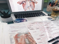 Цифрова медицина: в Україні модернізують освіту лікарів за стандартами ЄС