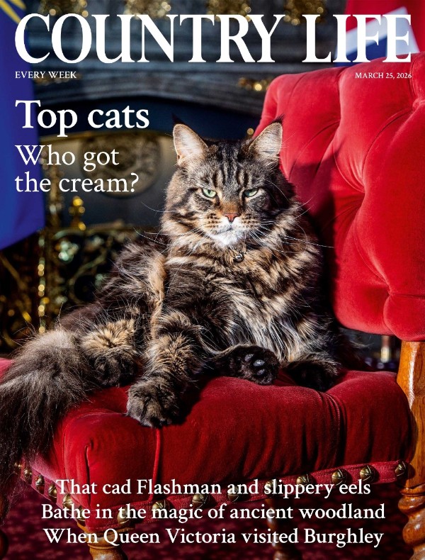 Country Life UK - March 25, 2026