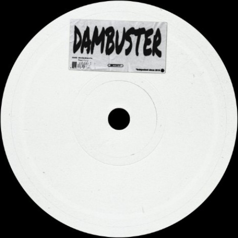 VA - Dambuster Sampler (2026) mp3