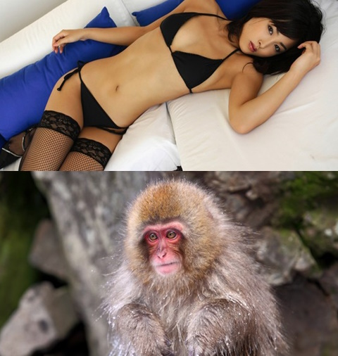 Mixturka - Wallpapers Collection 284