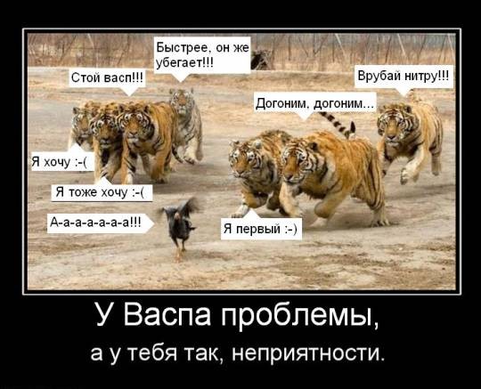 b87f39acb53f6f70e61cac5ba5a4af51.jpg