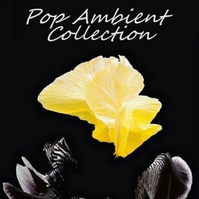 Pop Ambient Collection 2001-2026 (2001-2025) FLAC