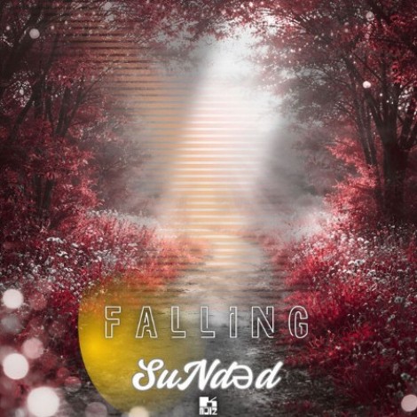 SuNded - Falling (2026) mp3