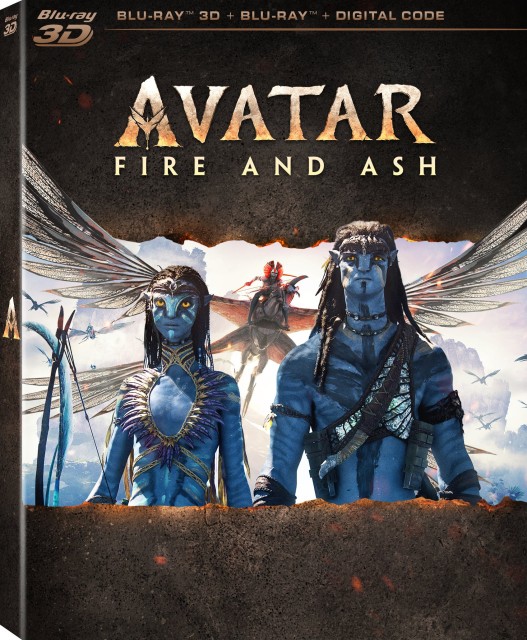 Avatar.Fire.and.Ash.2025.German.AC3.DL.LD.WEB.x264-WM3