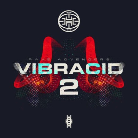 VA - VIBRACID 2 RAVE ADVENGERS (2025) mp3