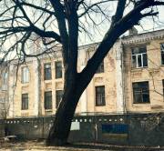 Киевсовет объявил Дуб Николая Пимоненко ботаническим памятником природы местного значения